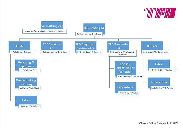 Organigramme Holding